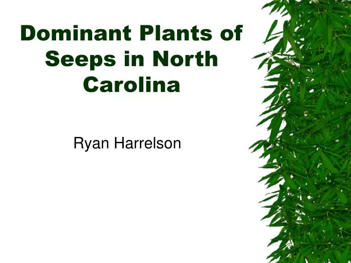 dominant plants of seeps in north carolina