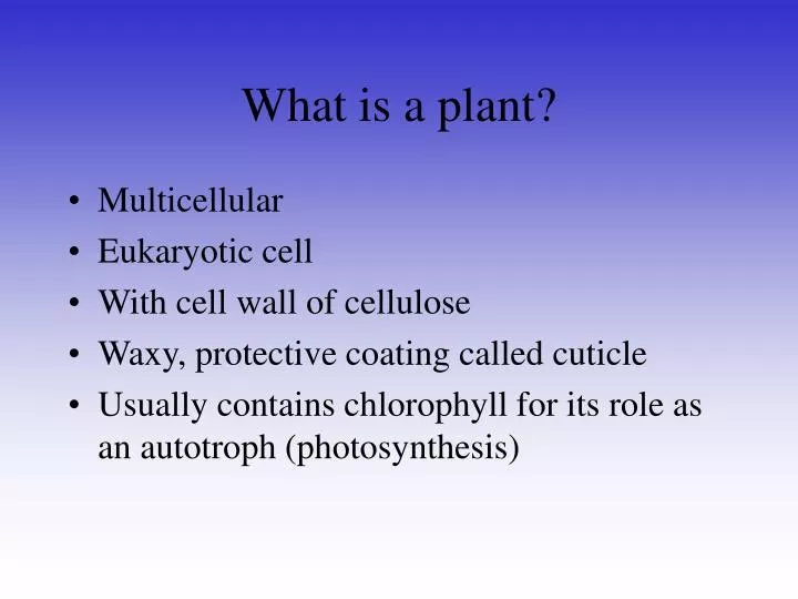 what is a plant