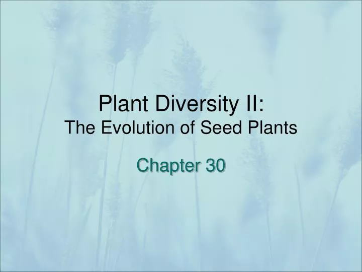 plant diversity ii the evolution of seed plants