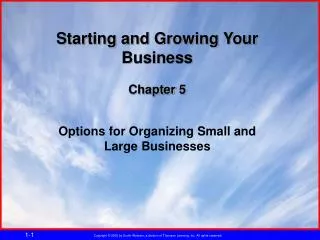 Starting and Growing Your Business Chapter 5 Options for Organizing Small and Large Businesses