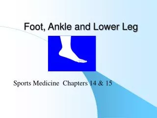 Foot, Ankle and Lower Leg
