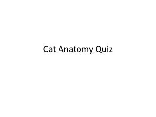 Cat Anatomy Quiz
