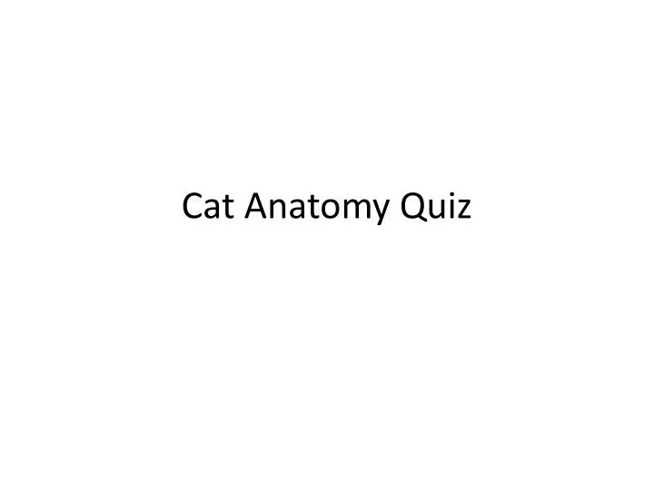 cat anatomy quiz