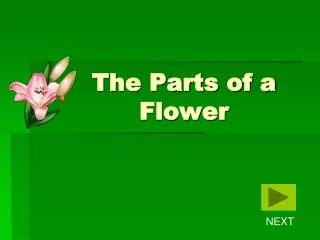 The Parts of a Flower