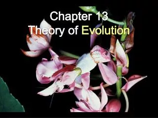 Chapter 13 Theory of Evolution