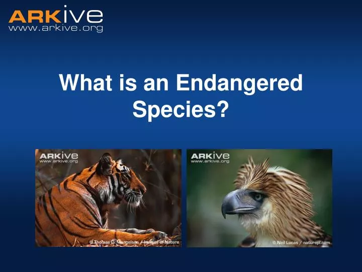 what is an endangered species