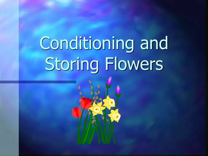 conditioning and storing flowers