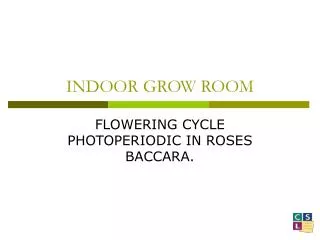 INDOOR GROW ROOM