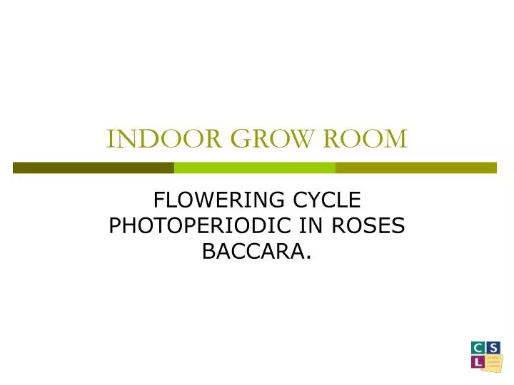 indoor grow room
