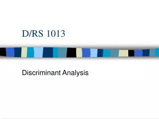 D/RS 1013
