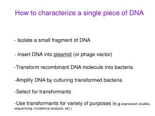 How to characterize a single piece of DNA