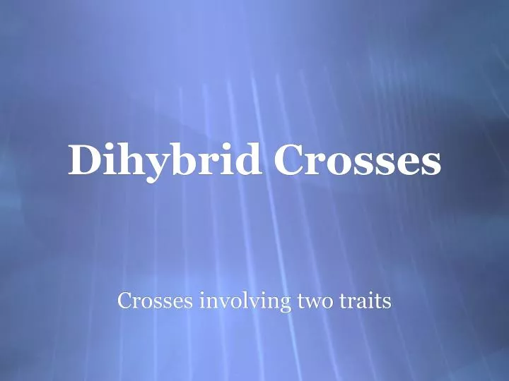 dihybrid crosses