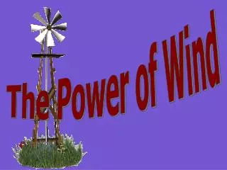 The Power of Wind