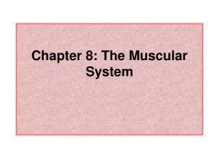 Chapter 8: The Muscular System