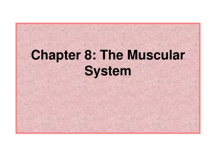 chapter 8 the muscular system