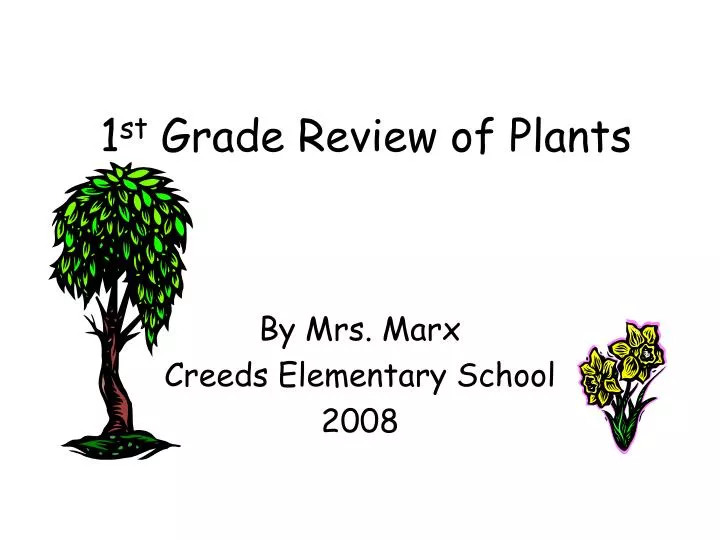1 st grade review of plants