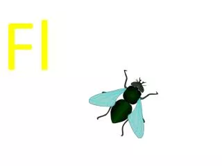 fl → ag fl ag fl → ap fl ap