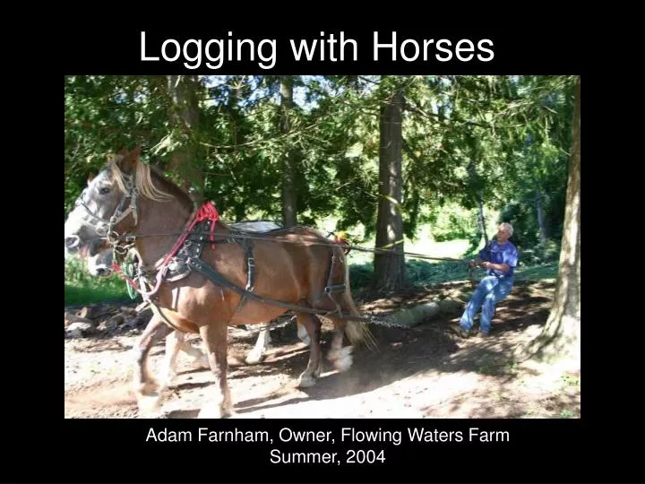logging with horses