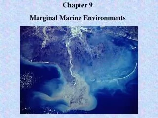 Chapter 9 Marginal Marine Environments