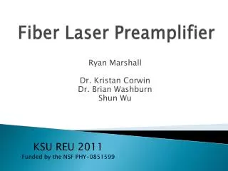 Fiber Laser Preamplifier