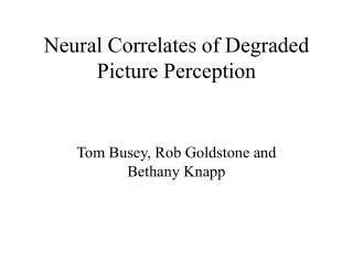 Neural Correlates of Degraded Picture Perception