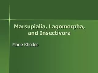 Marsupialia, Lagomorpha, and Insectivora