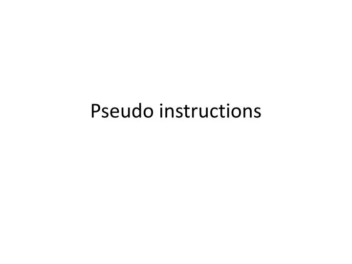 pseudo instructions