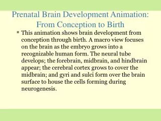 Prenatal Brain Development Animation: From Conception to Birth