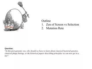Outline Zen of Screen vs Selection Mutation Rate
