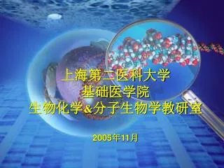 200 5 11