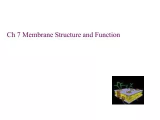 Ch 7 Membrane Structure and Function