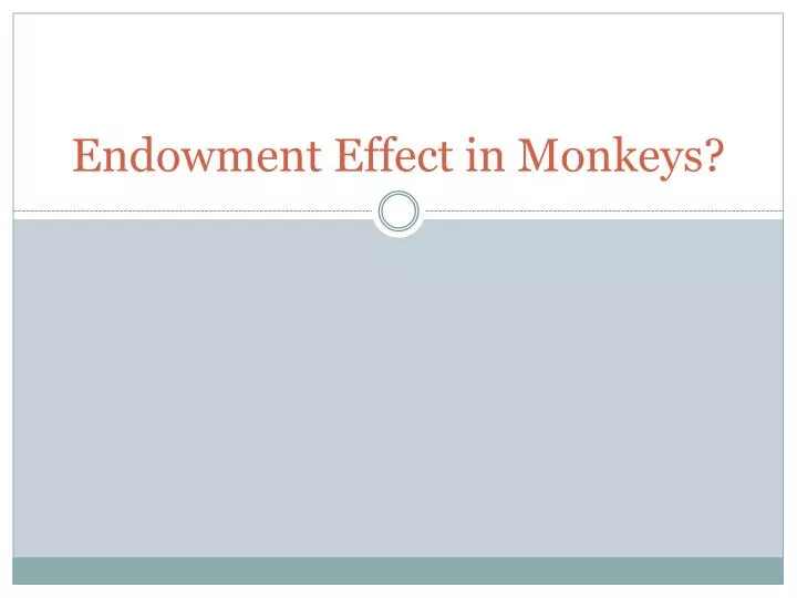 endowment effect in monkeys