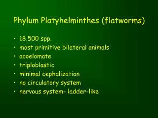 Phylum Platyhelminthes (flatworms)