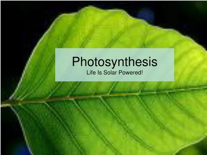 photosynthesis life is solar powered