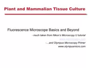 Plant and Mammalian Tissue Culture