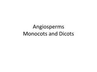 Angiosperms Monocots and Dicots