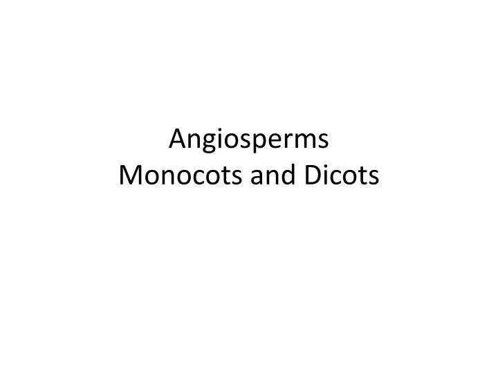 angiosperms monocots and dicots