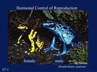 Hormonal Control of Reproduction