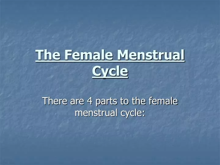 the female menstrual cycle
