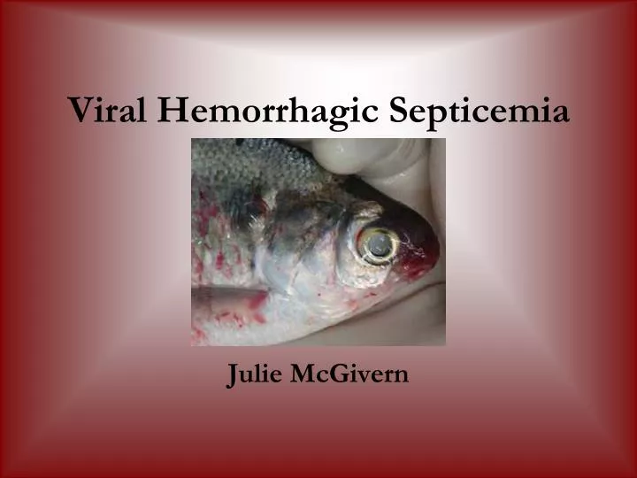 viral hemorrhagic septicemia