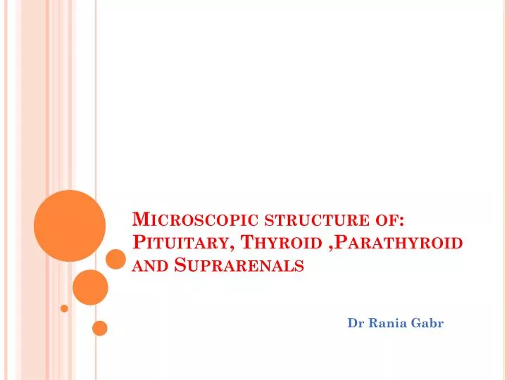 microscopic structure of pituitary thyroid parathyroid and suprarenals