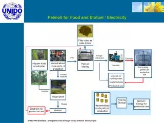 Palmoil for Food and Biofuel / Electricity