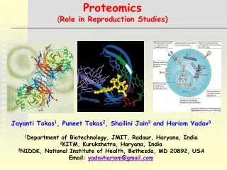 Proteomics ( Role in Reproduction Studies)