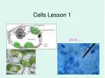 Cells Lesson 1 - slide 1