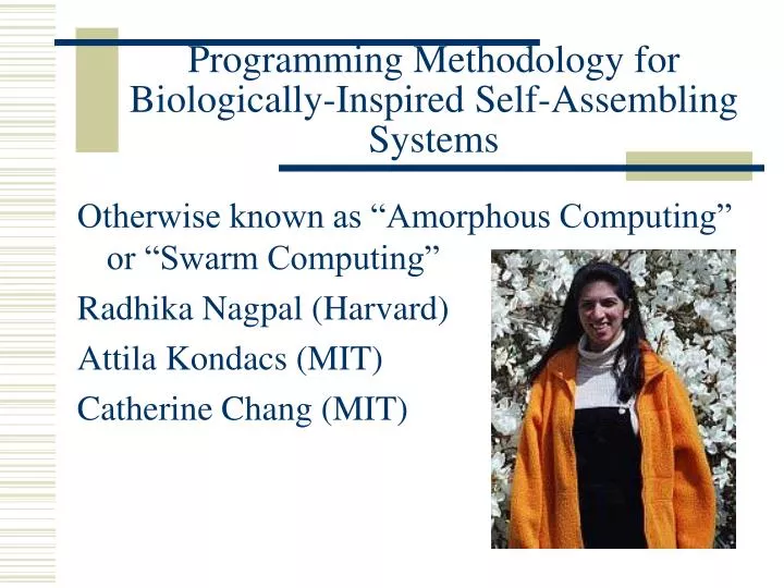 programming methodology for biologically inspired self assembling systems