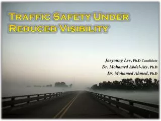 Traffic Safety Under Reduced Visibility