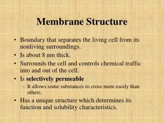 Membrane Structure