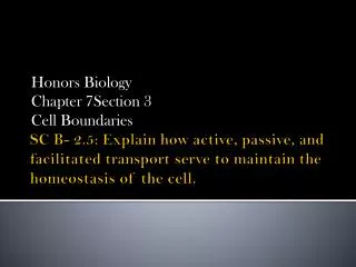 SC B- 2.5: Explain how active, passive, and facilitated transport serve to maintain the homeostasis of the cell.