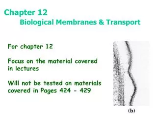 Chapter 12 Biological Membranes &amp; Transport