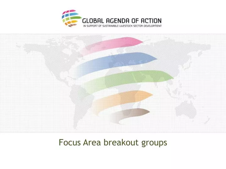 focus area breakout groups